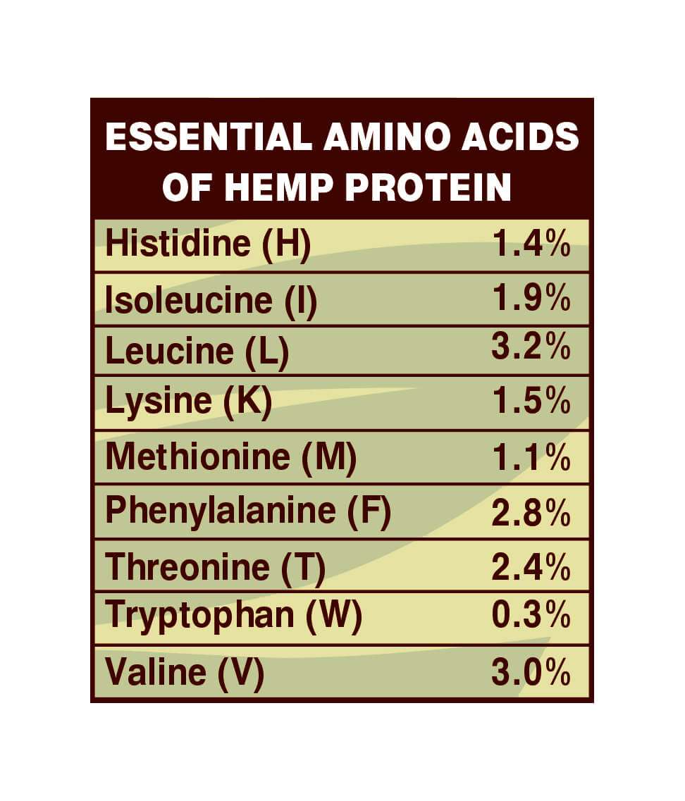 Dragon Bio Hemp Protein 200g (50% protein)
